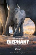 Watch Elephant Vodlocker