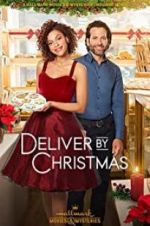 Watch Deliver by Christmas Vodlocker