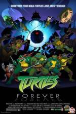 Watch Teenage Mutant Ninja Turtles Turtles Forever Vodlocker