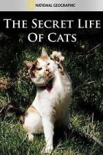 Watch The Secret Life of Cats Vodlocker