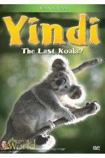 Watch Yindi the Last Koala Vodlocker