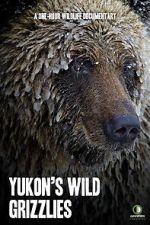 Watch Yukon\'s Wild Grizzlies Vodlocker