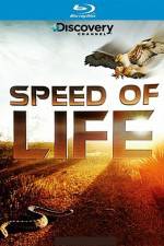 Watch Speed of Life Vodlocker