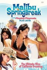 Watch Malibu Spring Break Vodlocker