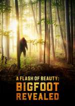 Watch A Flash of Beauty: Bigfoot Revealed Vodlocker