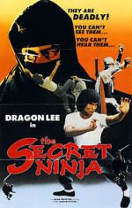 Watch Secret Ninja Vodlocker