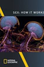 Watch Sex How It Works Vodlocker