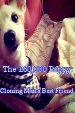 Watch The 60,000 Puppy: Cloning Man's Best Friend Vodlocker