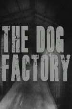 Watch The Dog Factory Vodlocker