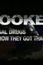 Watch Hooked Illegal Drugs & How They Got That Way - Opium Morphine and Heroin Vodlocker