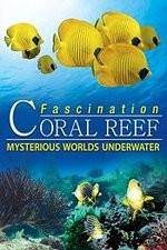 Watch Fascination Coral Reef: Mysterious Worlds Underwater Vodlocker