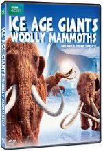 Watch Woolly Mammoth: Secrets from the Ice Vodlocker