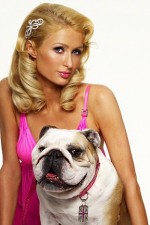 Watch Paris Hilton's British Best Friend Vodlocker
