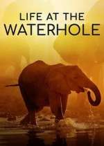 Watch Life at the Waterhole Vodlocker