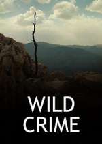 Watch Wild Crime Vodlocker