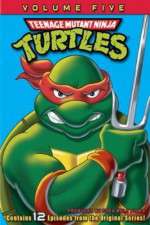Watch Teenage Mutant Ninja Turtles Vodlocker