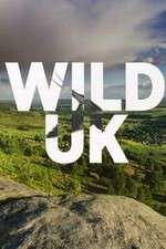 Watch Wild UK Vodlocker