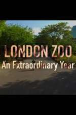 Watch London Zoo: An Extraordinary Year Vodlocker