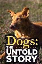 Watch Dogs: The Untold Story Vodlocker