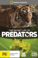 Watch Secret Life of Predators Vodlocker