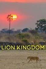 Watch Lion Kingdom Vodlocker