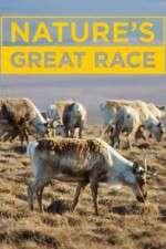 Watch Nature's Great Race Vodlocker