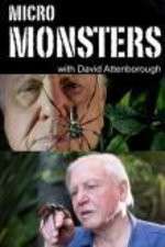 Watch Micro Monsters 3D with David Attenborough Vodlocker