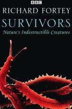 Watch Survivors: Nature's Indestructible Creatures Vodlocker