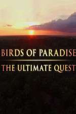 Watch Birds of Paradise: The Ultimate Quest Vodlocker