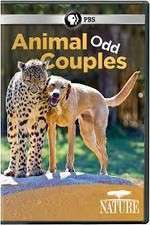 Watch Animal Odd Couples Vodlocker