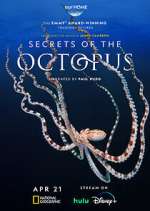 Secrets of the Octopus vodlocker
