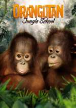 Watch Orangutan Jungle School Vodlocker