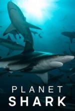 Watch Planet Shark Vodlocker