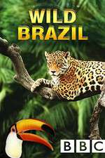 Watch Wild Brazil Vodlocker
