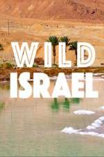 Watch Wild Israel Vodlocker