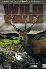 Watch Wild Wales Vodlocker