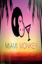 Watch Miami Monkey Vodlocker