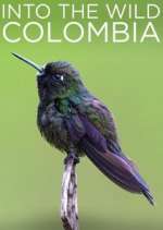Watch Into the Wild Colombia Vodlocker