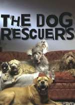 Watch The Dog Rescuers with Alan Davies Vodlocker