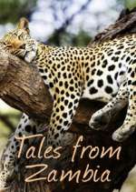 Watch Tales from Zambia Vodlocker