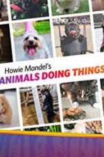 Watch Howie Mandel\'s Animals Doing Things Vodlocker