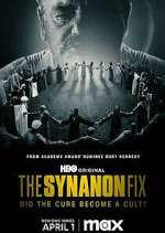 Watch Vodlocker The Synanon Fix Online