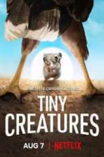 Watch Tiny Creatures Vodlocker