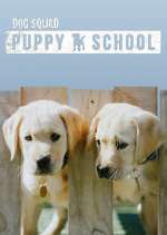 Watch Dog Squad: Puppy School Vodlocker