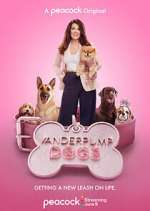 Watch Vanderpump Dogs Vodlocker