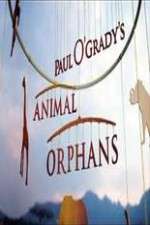 Watch Paul O'Grady's Animal Orphans Vodlocker
