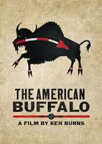 Watch The American Buffalo Vodlocker